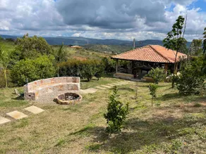 Las Palmas - Image 2