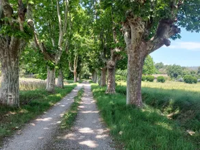 Provençal bastide guest house - Image 3