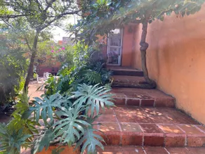 The Yellow House - Image 2