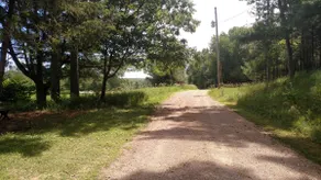 Pine Grove Hideaway - Image 3