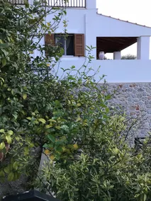 Amazing Apartment in the Heart of Masouri - Image 4