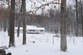 Whole Home, Wooded Serenity, Urban Proximity - Image 4