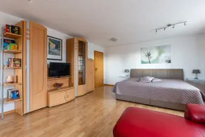 Large apartment, only 12 km to Europa-Park - Image 5