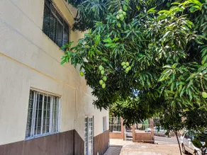 Apartment near the bus station of Foz do Iguaçu - Image 3