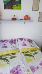 Coquet F2, 2nd floor, city center, port, close to beach and shops - Image 5