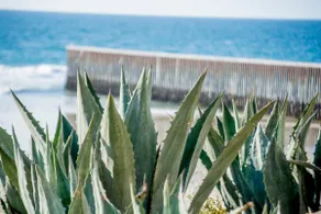 Steps to the beach/partial ocean view + AC/HEAT - Image 5