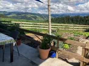Eggelried, where nature is at home - Image 5