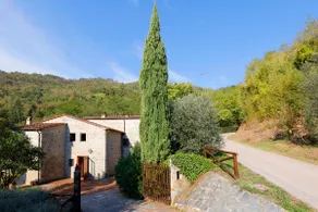 The Tuscany of the Tuscans, isolated and green - Image 3