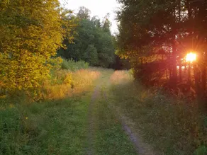 Cozy cottage with sun in Härnösand, Höga Kusten - Image 3