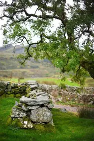 Remote, pet friendly, log burner, stunning views - Image 4
