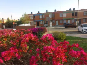 Refugio Sereno - Image 5