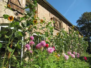 A stay in a stork village 1 (with AC) - Image 4