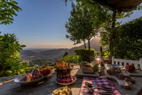 Borgo Metato – Olive Grove - Image 4