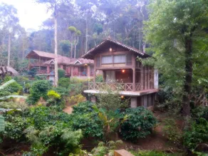 FOREST FLOWER HOMESTAY-COTTAGE JASMINE - Image 2