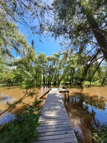Wild cabin + pool in the heart of the Delta - Image 3