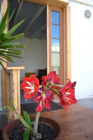 Ensenada / Valle de Guadalupe / Surf Beach - Image 4