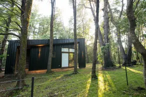 House in Pucon - Image 4