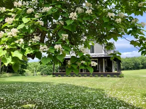 The Bailey House - Image 2