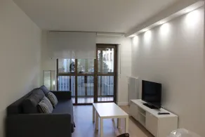 Plaza Monterrey Apartment (Optional Parking) - Image 4