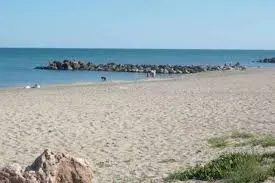 Superb apartment 50 m from the beach - Image 4