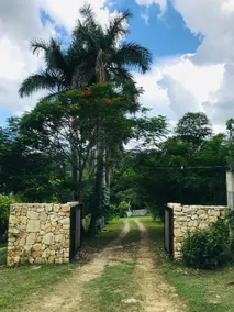 Eco-Cabaña Maya Rue - Image 3