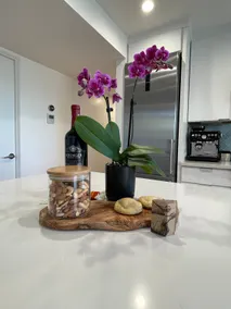 Cute 1 BR Mount Olympus Apartment with a View! - Image 2