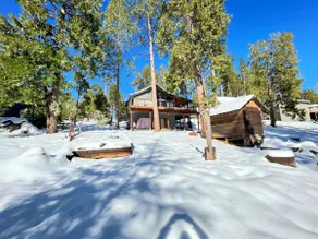 The NuttyBear Cabin with Hot Tub - Image 2