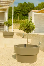 The Leaf House - Kefalonia - Image 5
