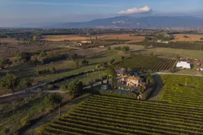 Villa il Barattino  - Image 3