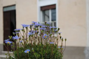 Damiana's house, central Sicily. - Image 5