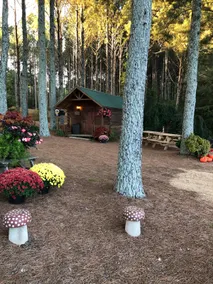 Cabin in the pines - Image 3