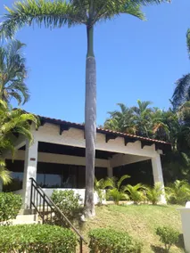 3 bedroom villa (Villa #8) Playa Hermosa CR - Image 2