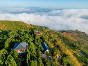 Hilltop Valley Bungalow Di Linh- Garden Hill - Image 4