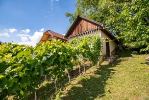 Vineyard Cottage Pod Piramido - Image 4