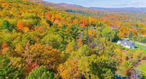 Lookout Lodge-Windham/Hunter *Pet Friendly!* - Image 4