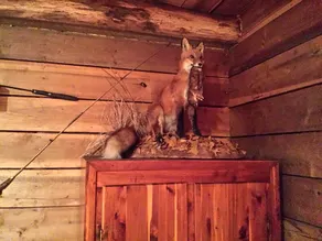 Fox Tail Chalet at Claycomb Chalets - Image 4