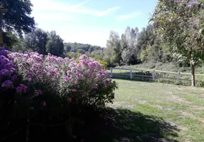 Guillot Gite - Image 3