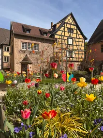In the heart of Turckheim • Charm & Route des Vins - Image 3