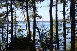 Cozy Cottage-Near Harbor & Park - Image 4