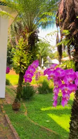 Casa Bela Vista Farmhouse - Image 4
