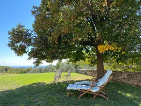 Podere Cereo - Image 4