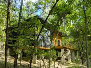 Modern cabin in the woods - Image 2