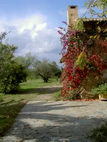 Hidden cottage, private beach access and sea view. - Image 5