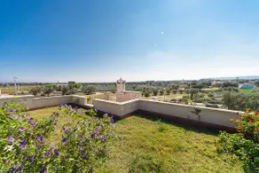 GLICINE in villa PUGLIESE - Image 2