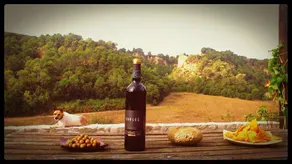 La Isla Verde, Big eco country house near Barcelona - Image 2