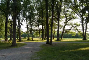 Log Cabin In The Woods - Great for a Staycation! - Image 3