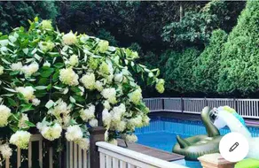 Luxury Hamptons Getaway w/ Private pool- sleeps 14 - Image 2