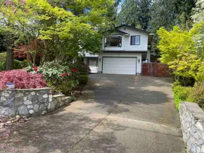 Cozy Quiet Full Unit Among Evergreens, Private - Image 2