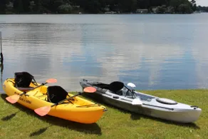Lakefront Cottage - Gilletts Lake - 2 min off I-94 - Image 2