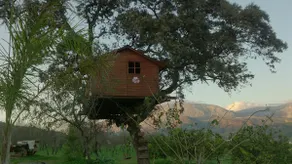 WOODEN HOUSE - El Chorro (The Stream) - Image 2